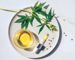 olejek cbd na talerzu, obok pipeta, nasiona i liście konopi